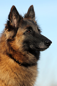 DPP_4907 Kopie.jpg